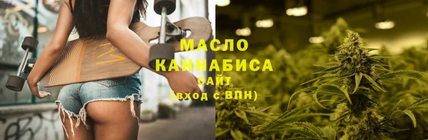 дживик Бородино