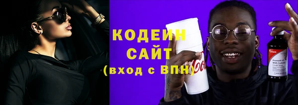 дживик Бородино