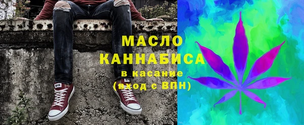 дживик Бородино