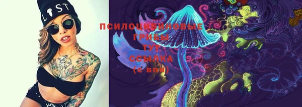 дживик Бородино
