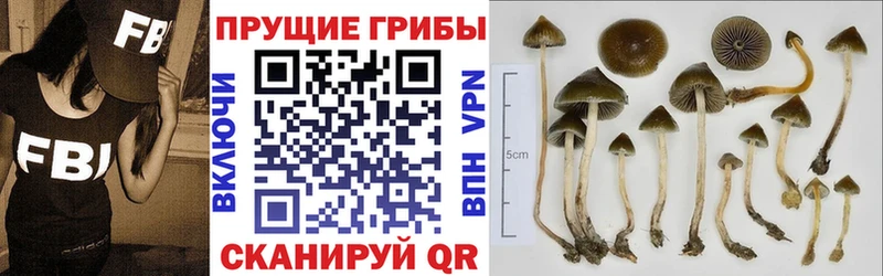 Псилоцибиновые грибы прущие грибы  наркота  Енисейск 